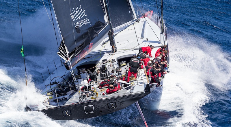 Comanche is leading Wild Oats XI