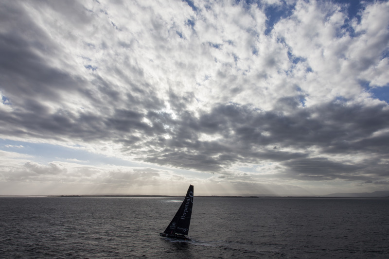 Perpetual Loyal has withdrawn from the race