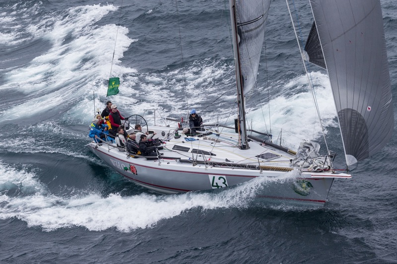 Wild Rose - Overall Winner RSHYR 2014 