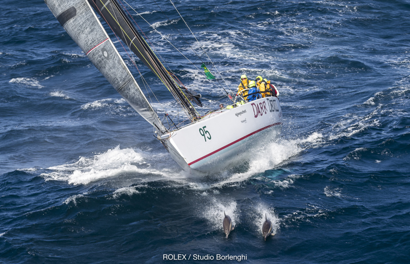 DARE DEVIL, Owner: Sibby Ilzhofer, State/Nation: NSW, Design: Farr/Cookson 47