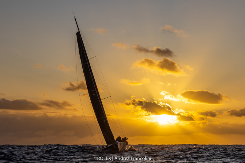 Yeah Baby at sunrise. 